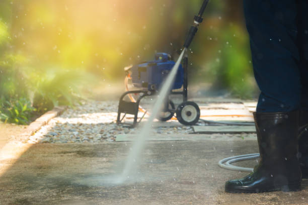 Animal Enclosure Cleaning in Valley Falls, KS
